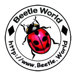 甲虫世界🐞Beetle.World