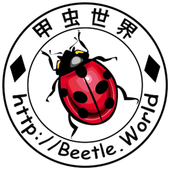 甲虫世界🐞Beetle.World